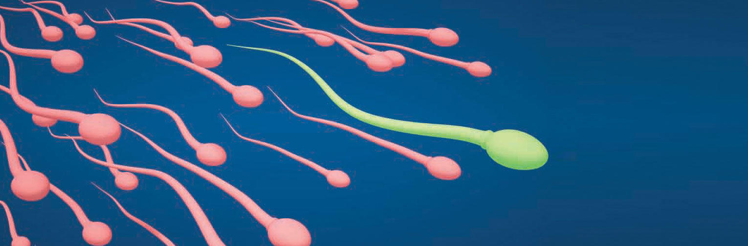 Florida Institute for Reproductive Medicine