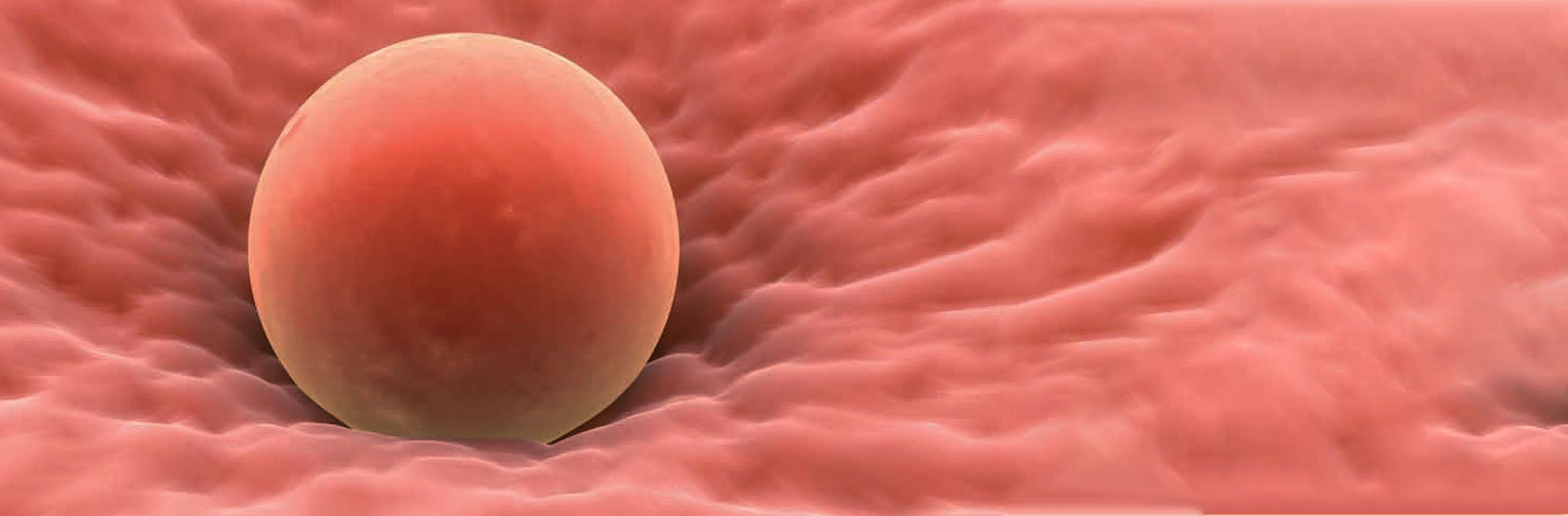 Florida Institute for Reproductive Medicine