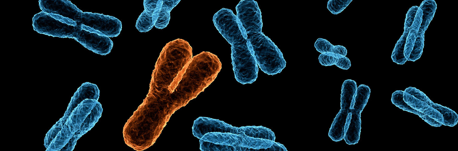 Florida Institute for Reproductive Medicine